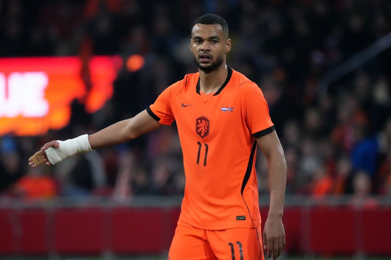 Netherlands vs Sweden predictions, as two European heavyweights do battle