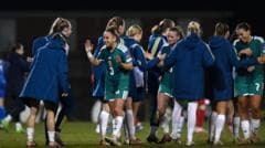 Northern Ireland's World Cup Qualifying Journey: New Faces and Managerial Drama Ends with Dream Alive